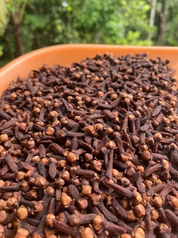 Cloves - Image 2