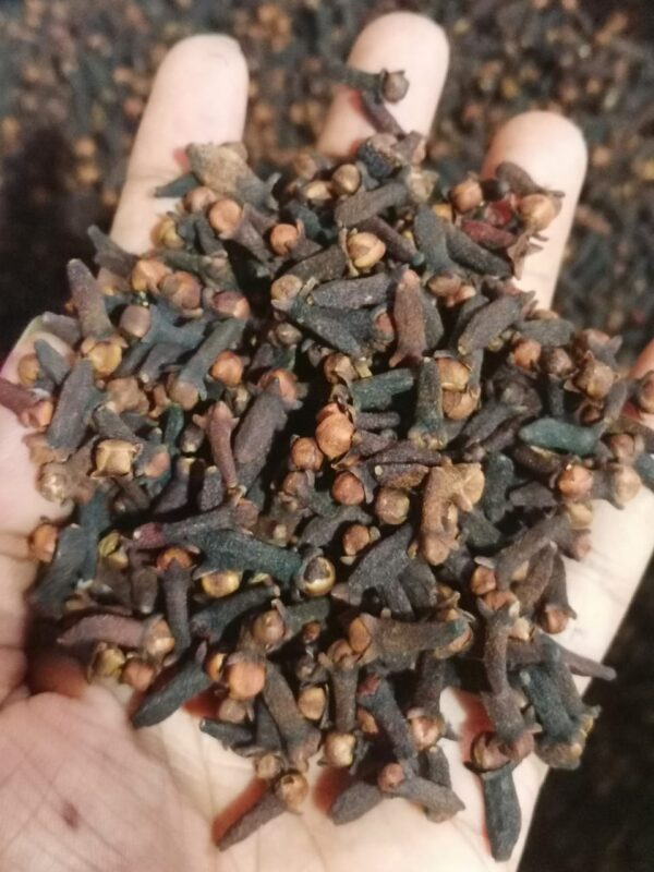 Cloves - Image 3