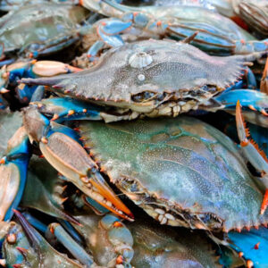 Crabs