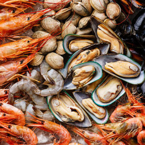 Mollusks
