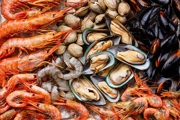 Mollusks