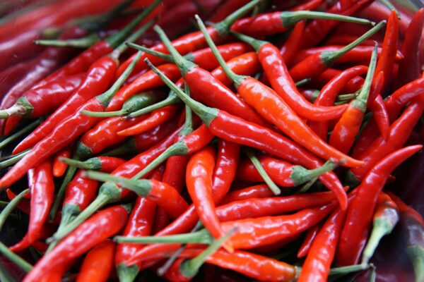 Red Chili - Image 2